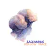 Saccharine - Hollow Space